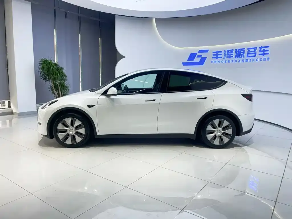 Tesla Model Y 2022 из CN, фото 9
