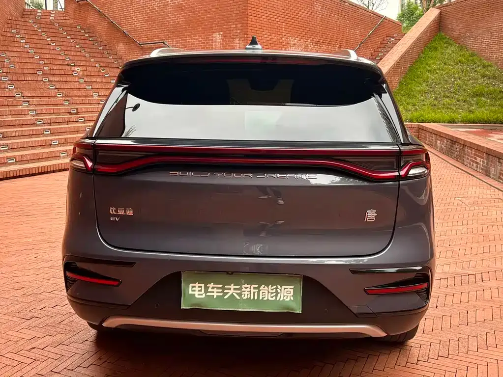 BYD Tang New Energy — фото 5