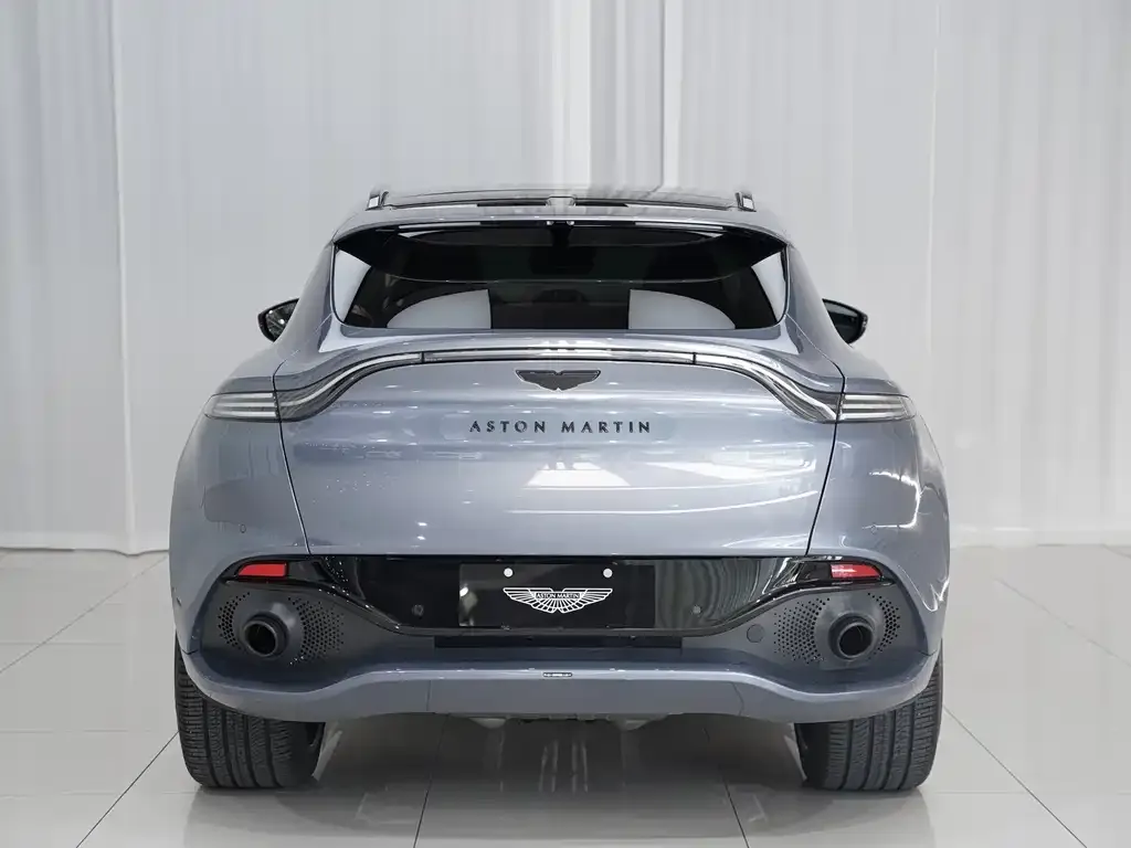 Aston Martin DBX 2021 из CN, фото 10