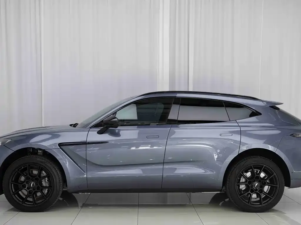 Aston Martin DBX 2021 из CN, фото 3