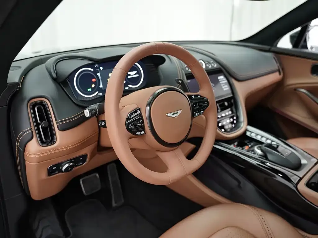 Aston Martin DBX 2021 из CN, фото 5