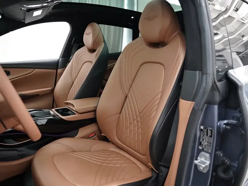 Aston Martin DBX 2021 из CN, фото 6