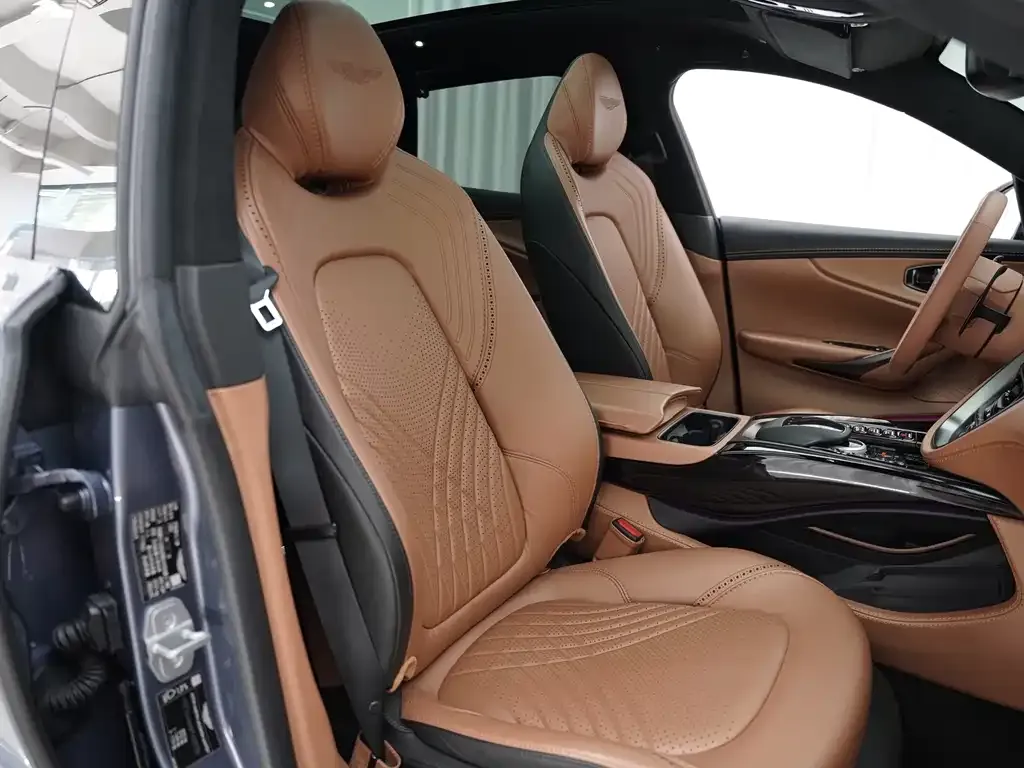 Aston Martin DBX 2021 из CN, фото 8
