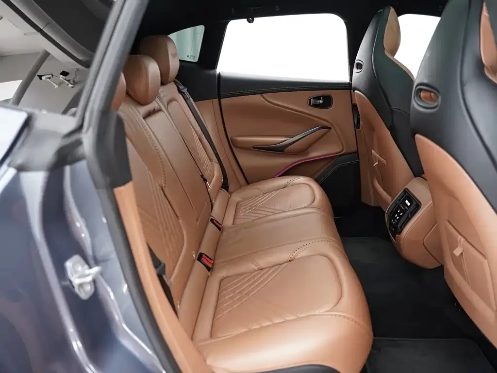 Aston Martin DBX 2021 из CN, фото 9