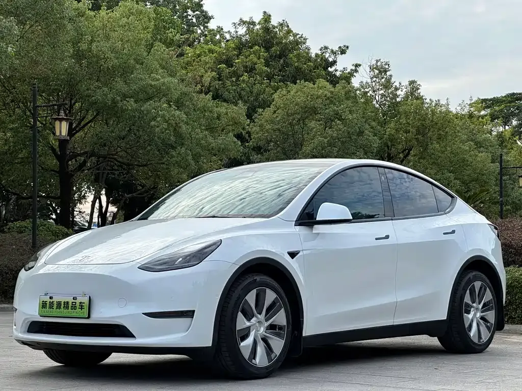 Tesla Model Y 2022 из CN, фото 1