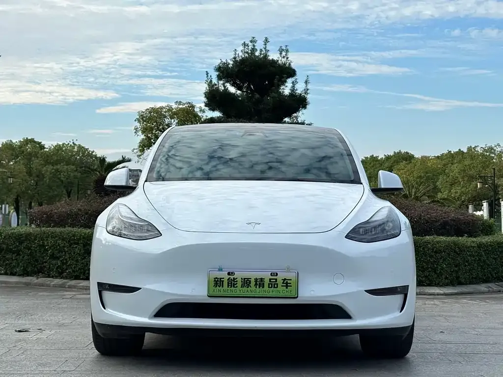 Tesla Model Y 2022 из CN, фото 2
