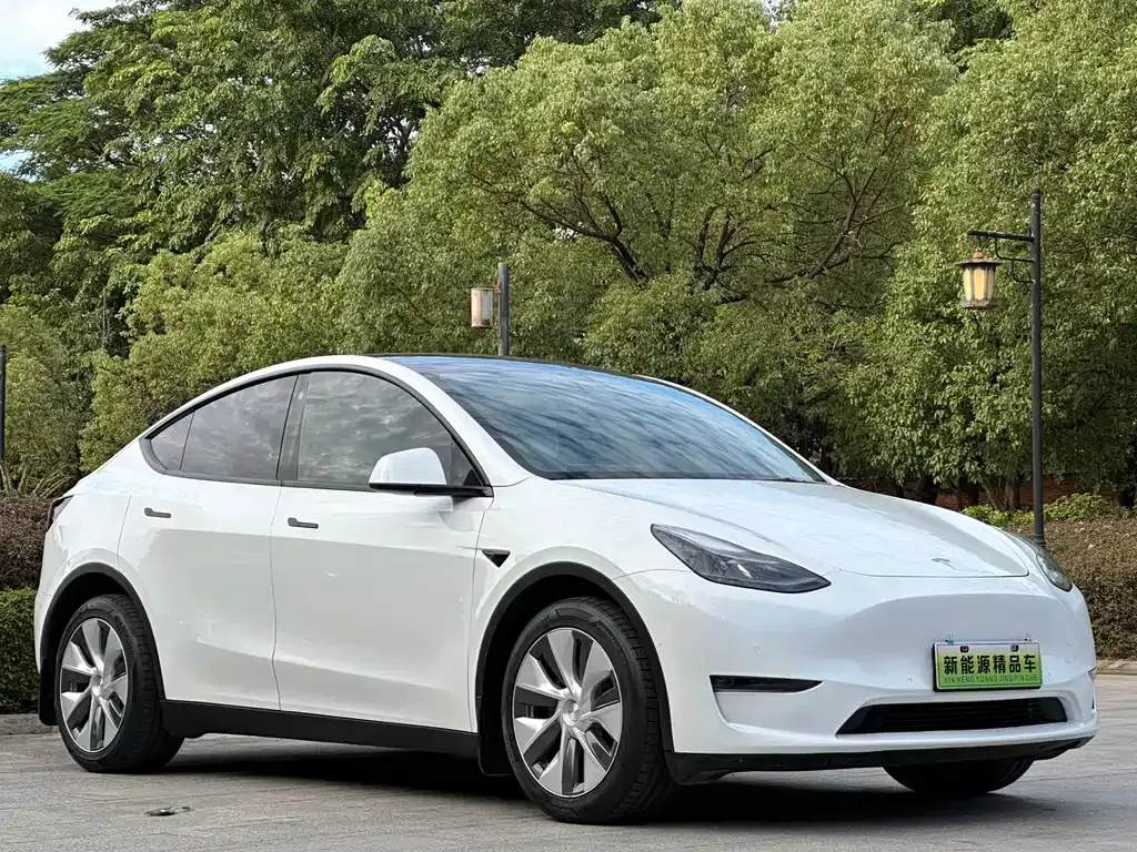 Tesla Model Y 2022 из CN, фото 3
