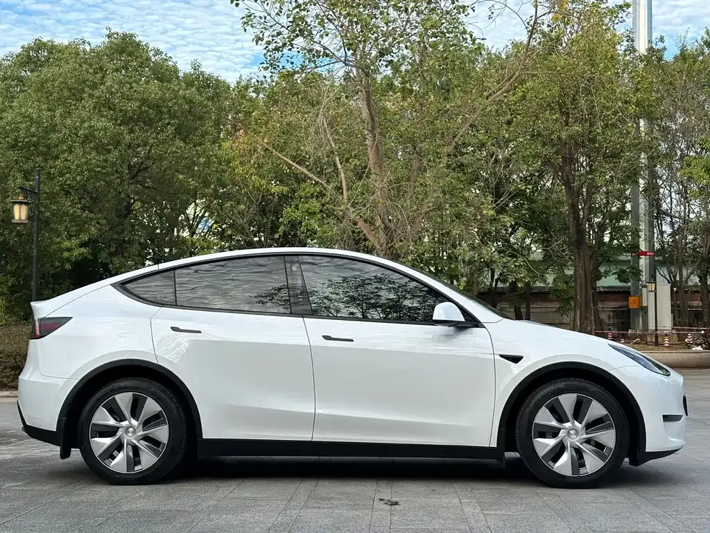 Tesla Model Y 2022 из CN, фото 4