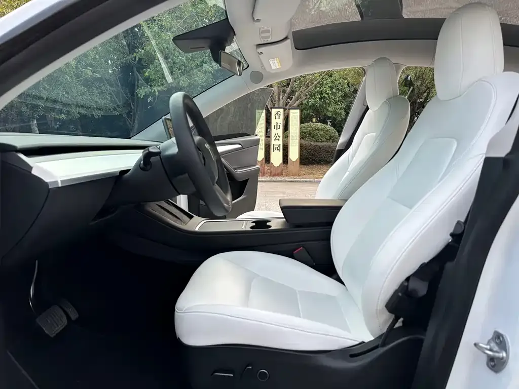 Tesla Model Y 2022 из CN, фото 6