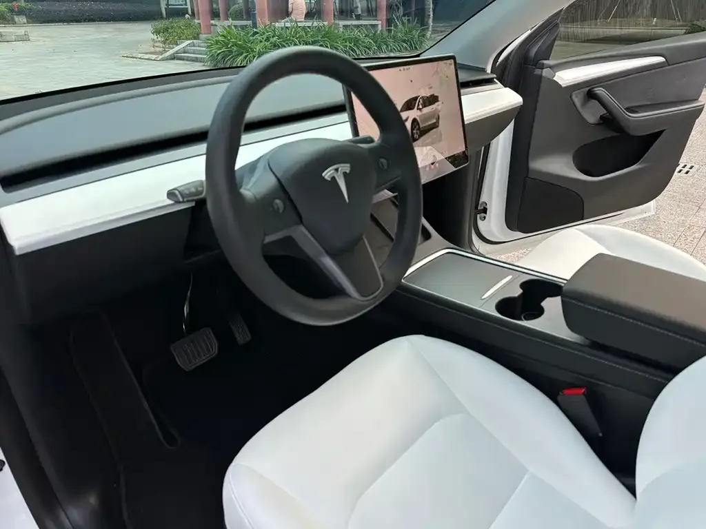 Tesla Model Y 2022 из CN, фото 7