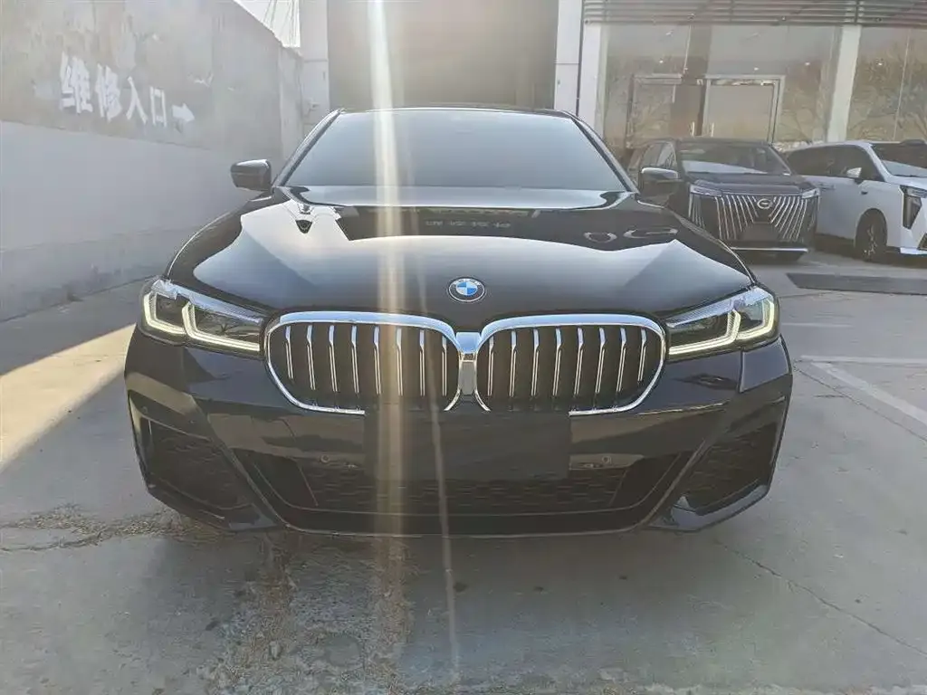 BMW 5 Series 2022 из CN, фото 2