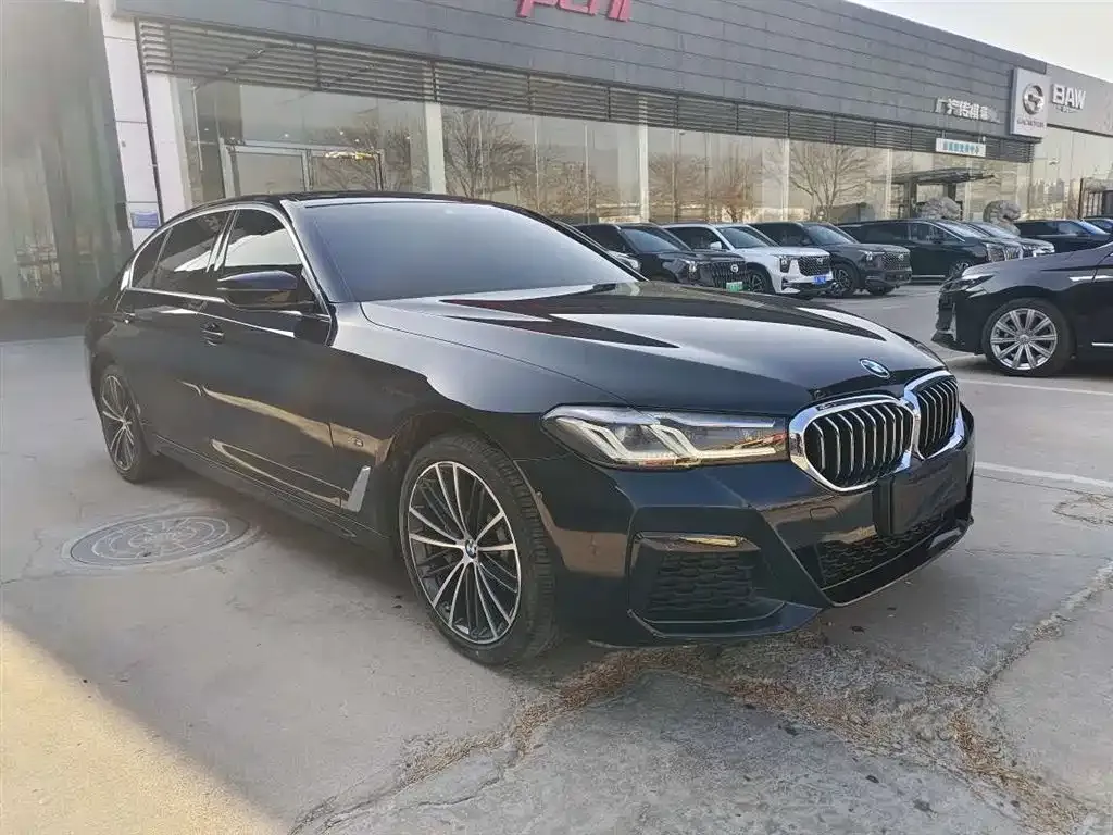 BMW 5 Series 2022 из CN, фото 3