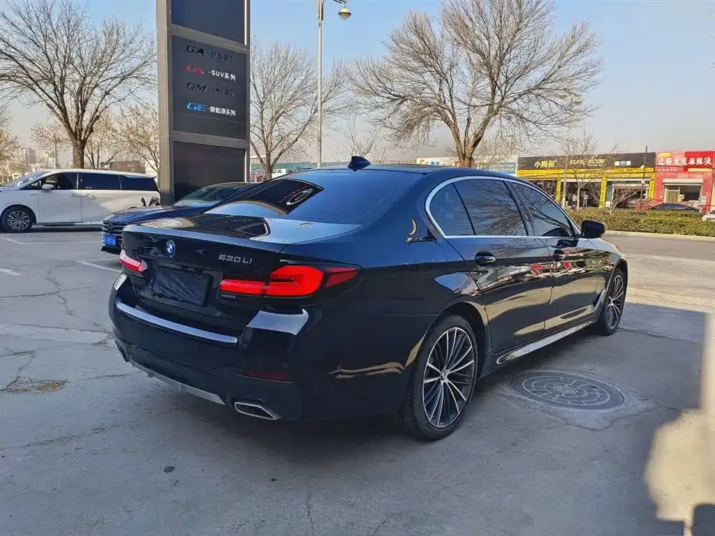 BMW 5 Series 2022 из CN, фото 4