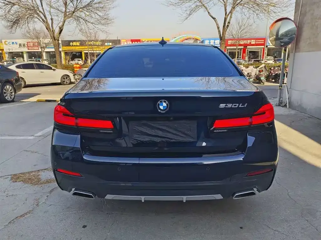 BMW 5 Series 2022 из CN, фото 5