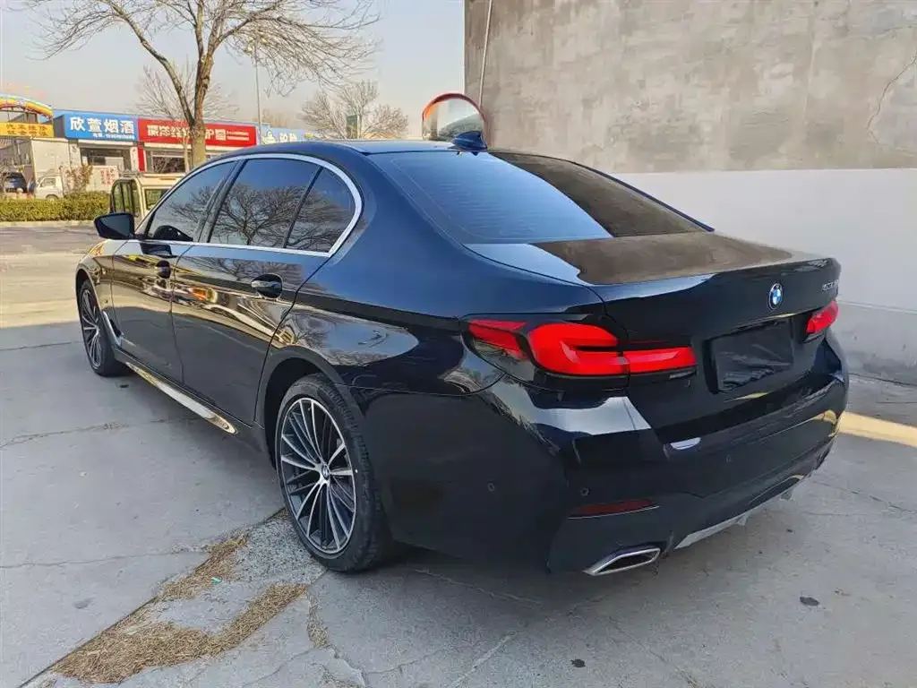 BMW 5 Series 2022 из CN, фото 6