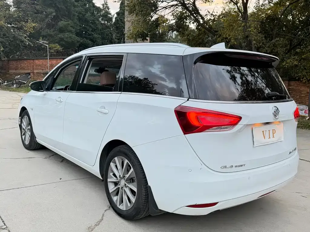 Buick GL6 2022 из CN, фото 10