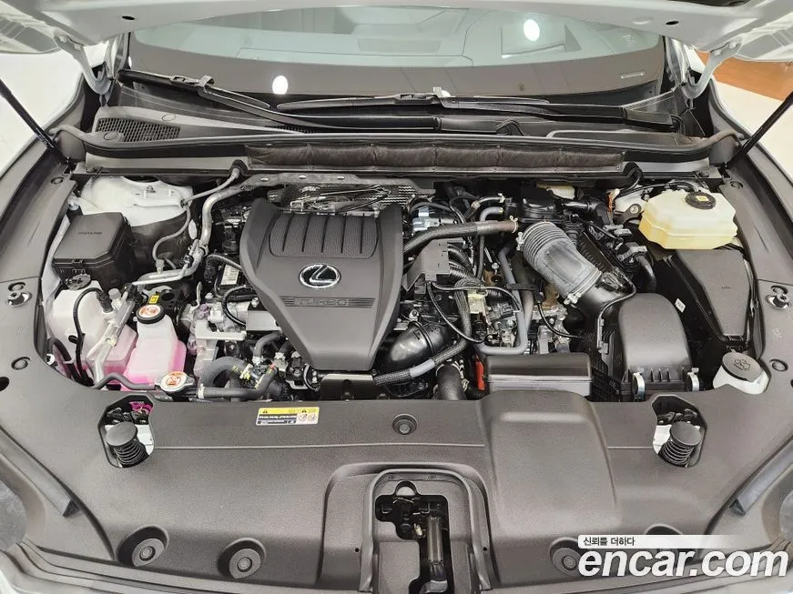 Lexus RX 2025 из KR, фото 7