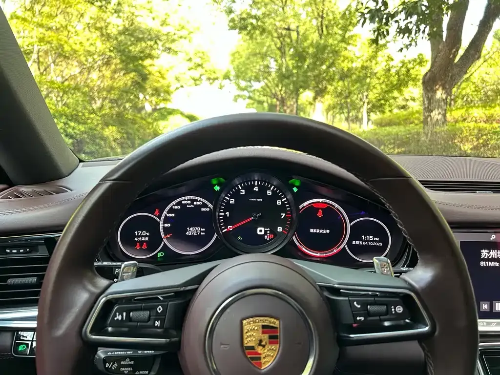 Porsche Panamera 2021 из CN, фото 5