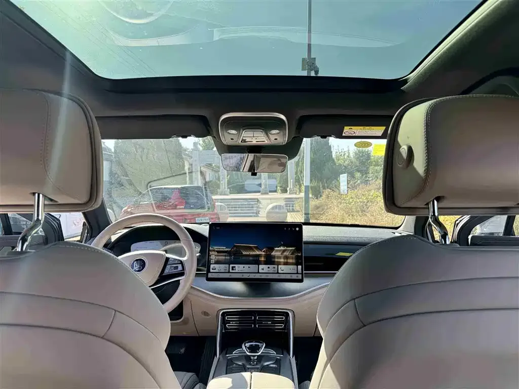BYD Tang New Energy 2025 из CN, фото 10