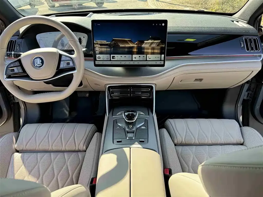 BYD Tang New Energy 2025 из CN, фото 7