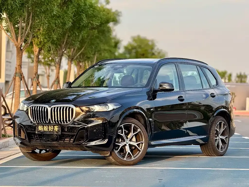 BMW X5 — фото 1