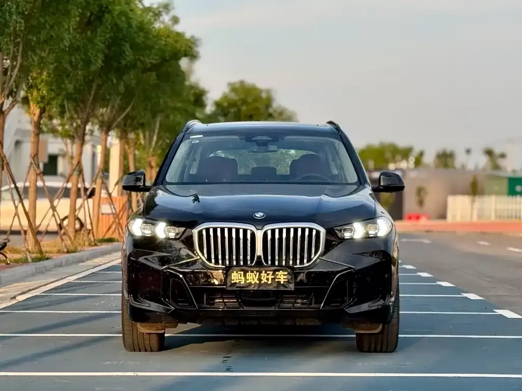 BMW X5 — фото 2