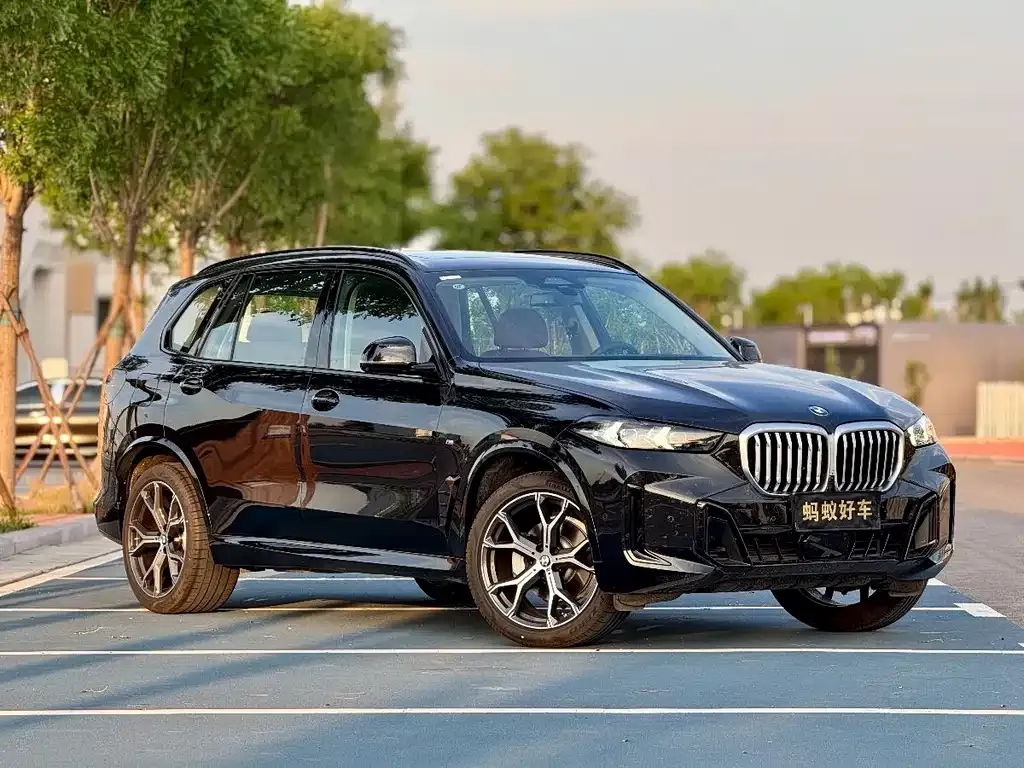 BMW X5 — фото 3