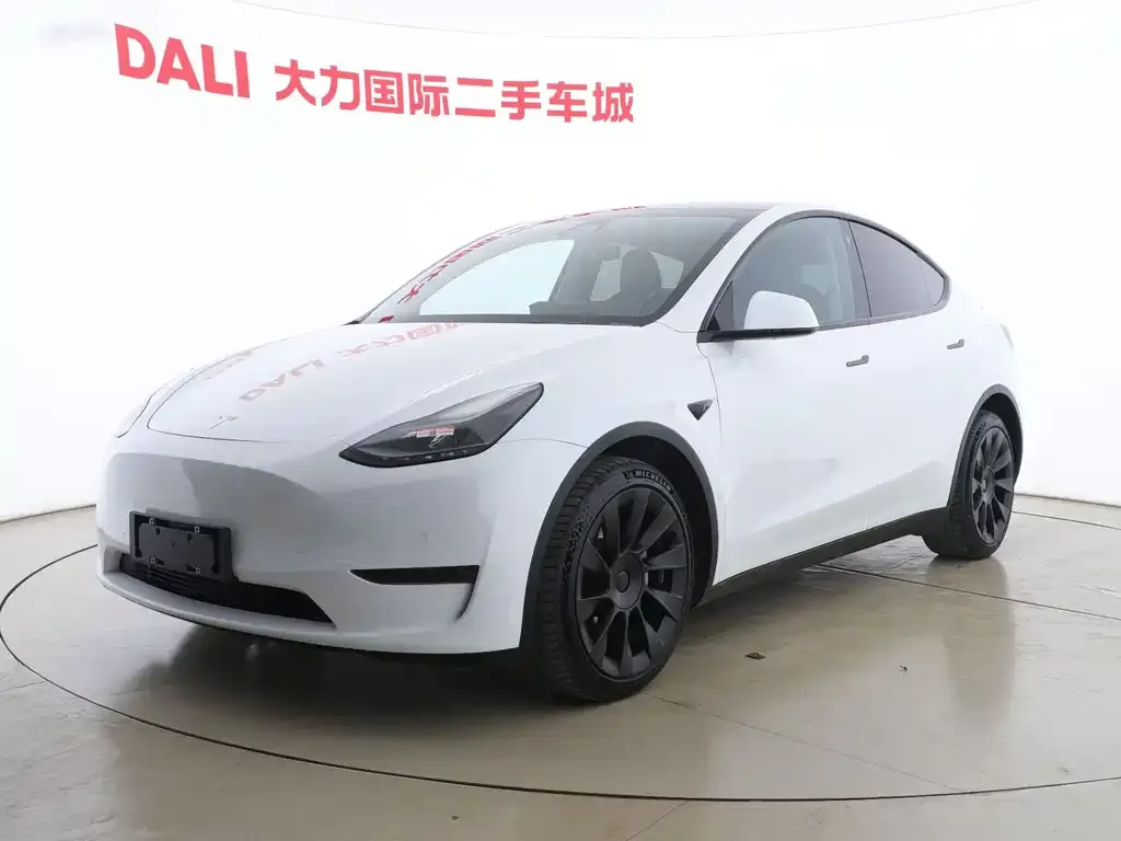 Tesla Model Y 2021 из CN, фото 1