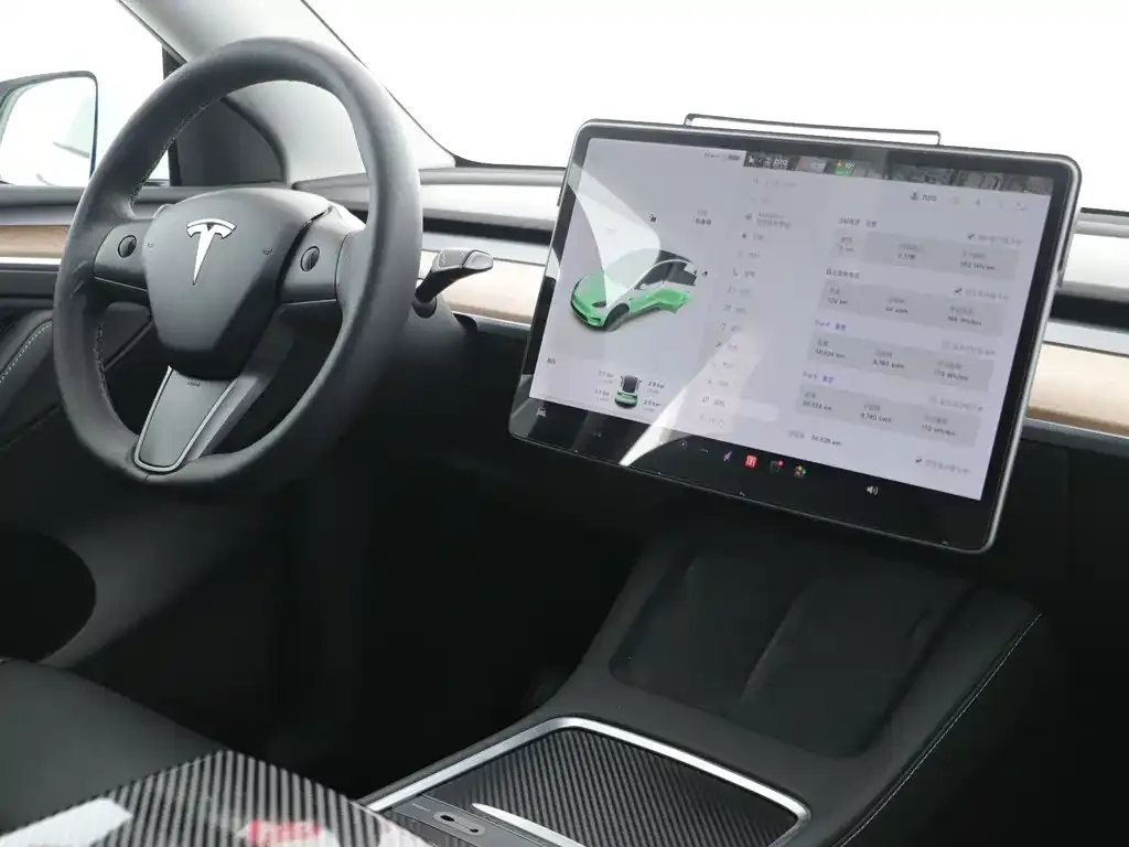 Tesla Model Y 2021 из CN, фото 10