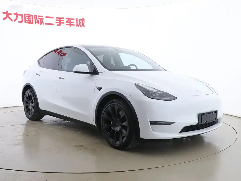 Tesla Model Y 2021 из CN, фото 3