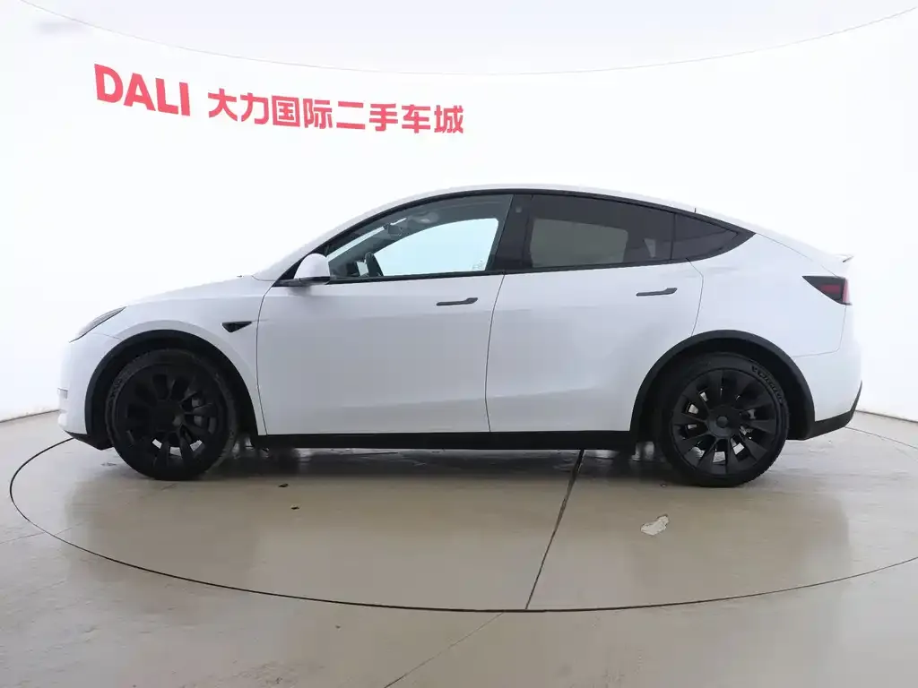 Tesla Model Y 2021 из CN, фото 4