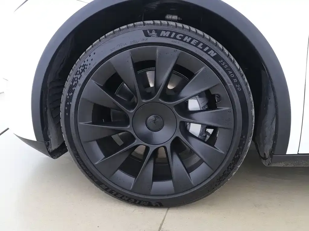 Tesla Model Y 2021 из CN, фото 5