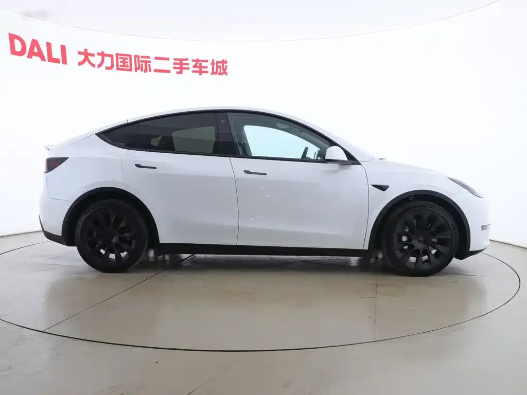 Tesla Model Y 2021 из CN, фото 6