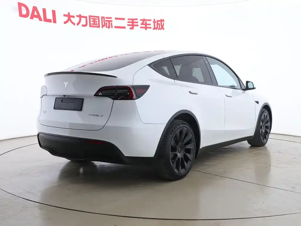 Tesla Model Y 2021 из CN, фото 7