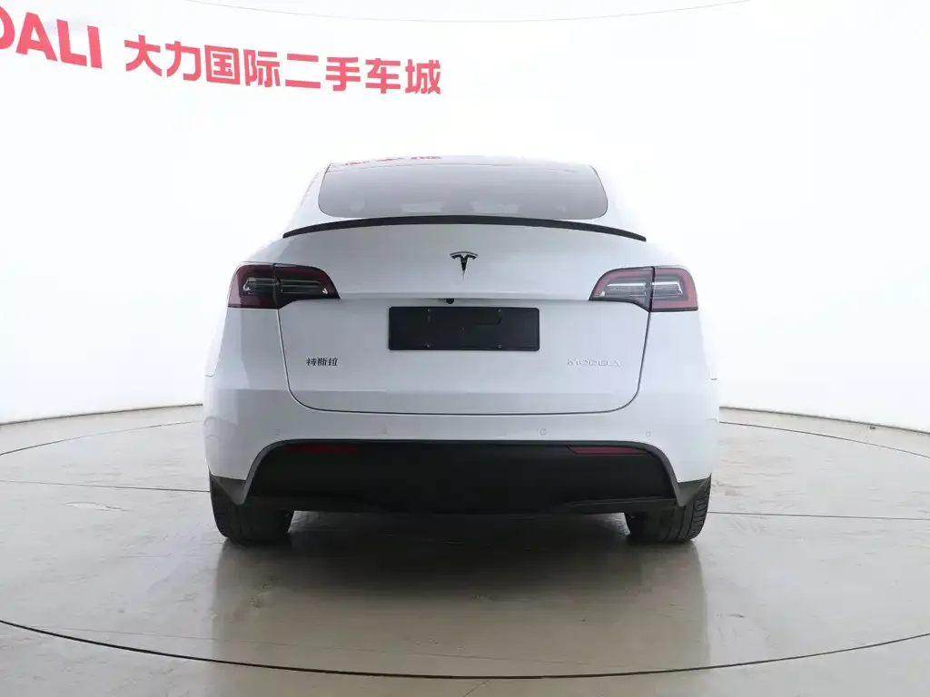 Tesla Model Y 2021 из CN, фото 8
