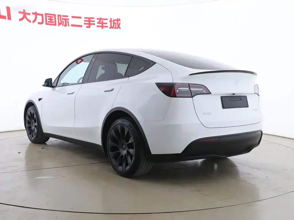 Tesla Model Y 2021 из CN, фото 9