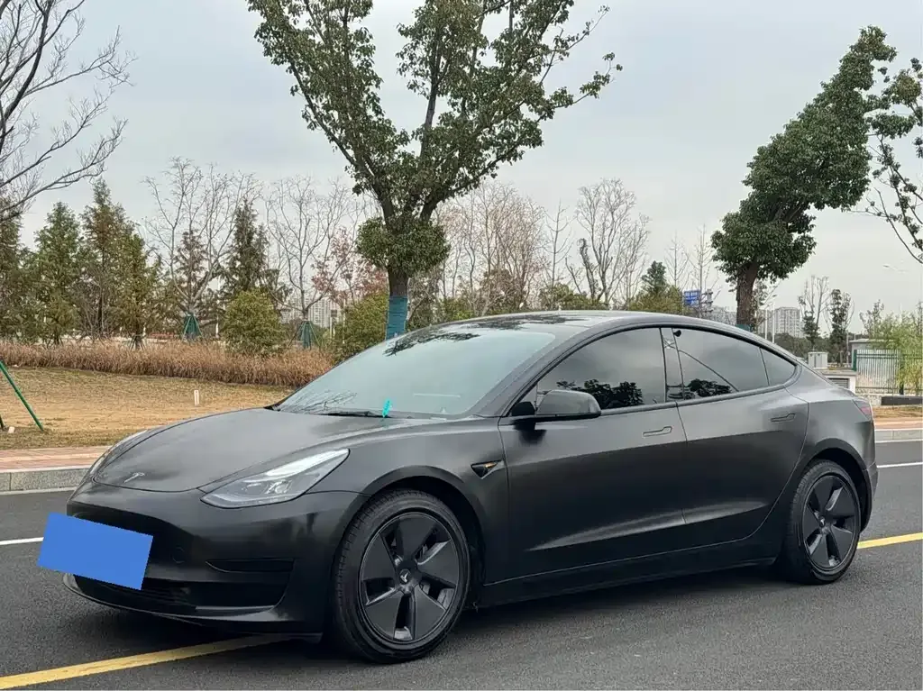 Tesla Model 3 2021 из CN, фото 1