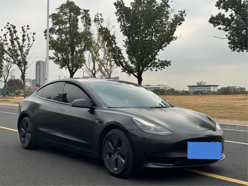 Tesla Model 3 2021 из CN, фото 10