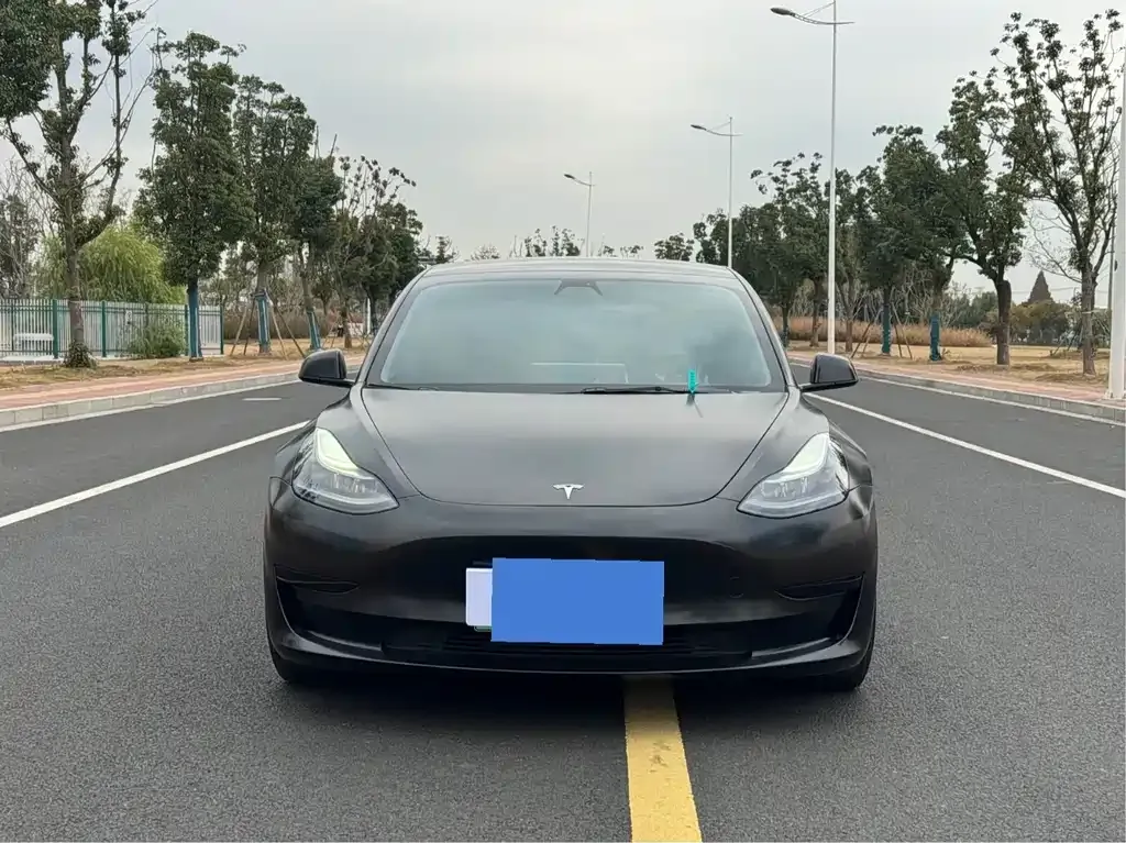 Tesla Model 3 2021 из CN, фото 3
