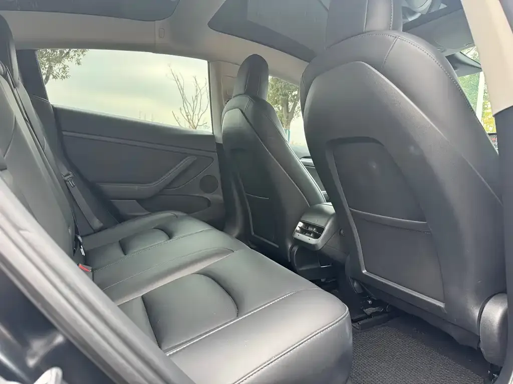 Tesla Model 3 2021 из CN, фото 4