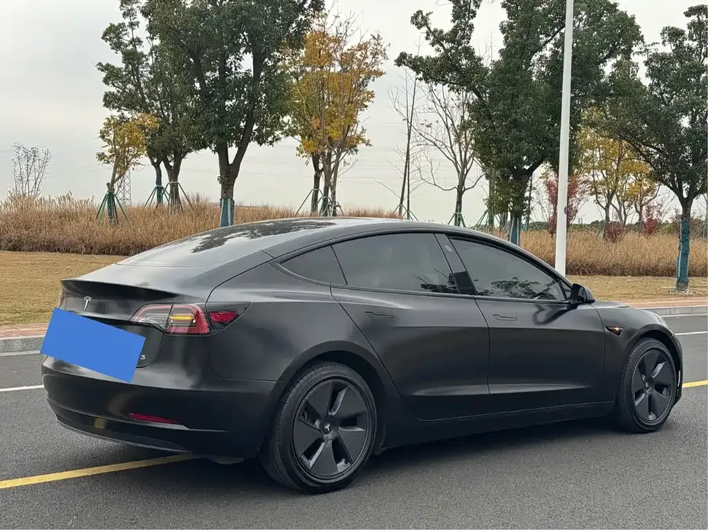 Tesla Model 3 2021 из CN, фото 5
