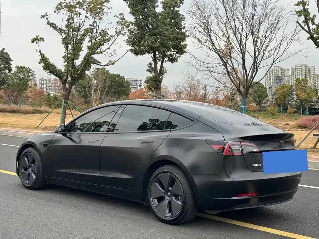 Tesla Model 3 2021 из CN, фото 6