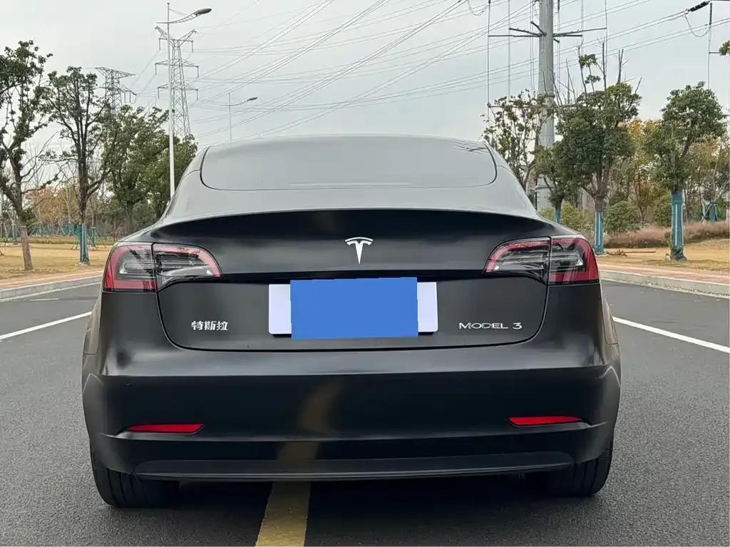 Tesla Model 3 2021 из CN, фото 7