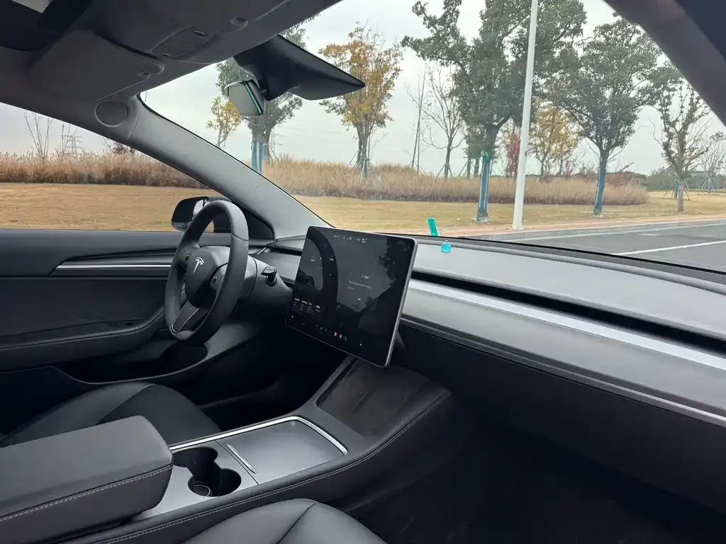Tesla Model 3 2021 из CN, фото 8