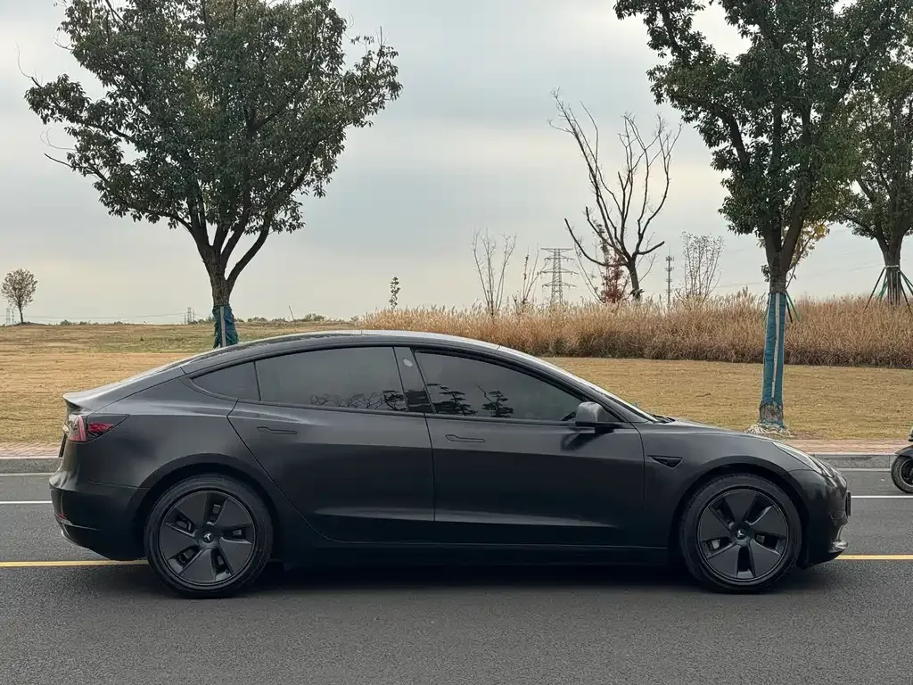 Tesla Model 3 2021 из CN, фото 9