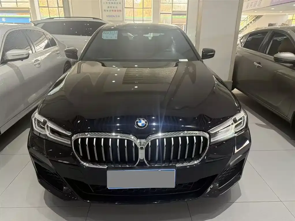 BMW 5 Series 2022 из CN, фото 2
