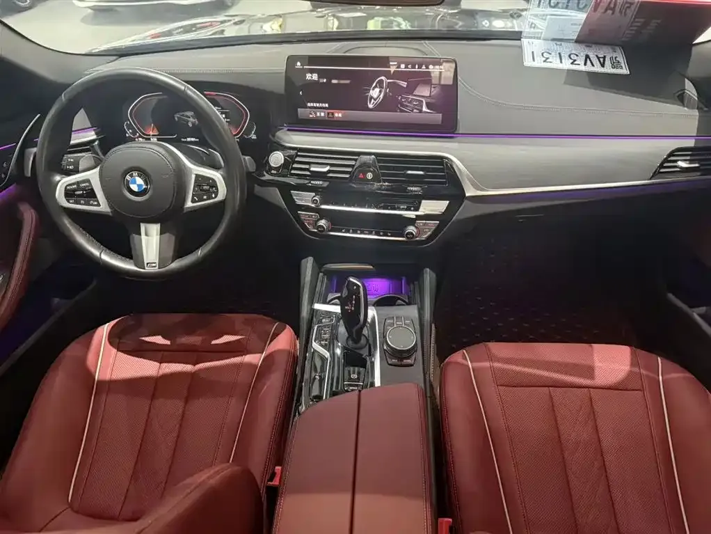 BMW 5 Series 2022 из CN, фото 4