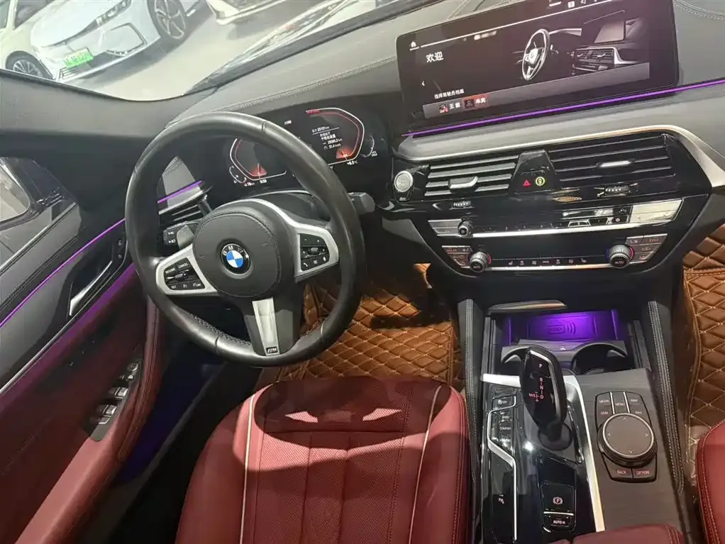BMW 5 Series 2022 из CN, фото 5