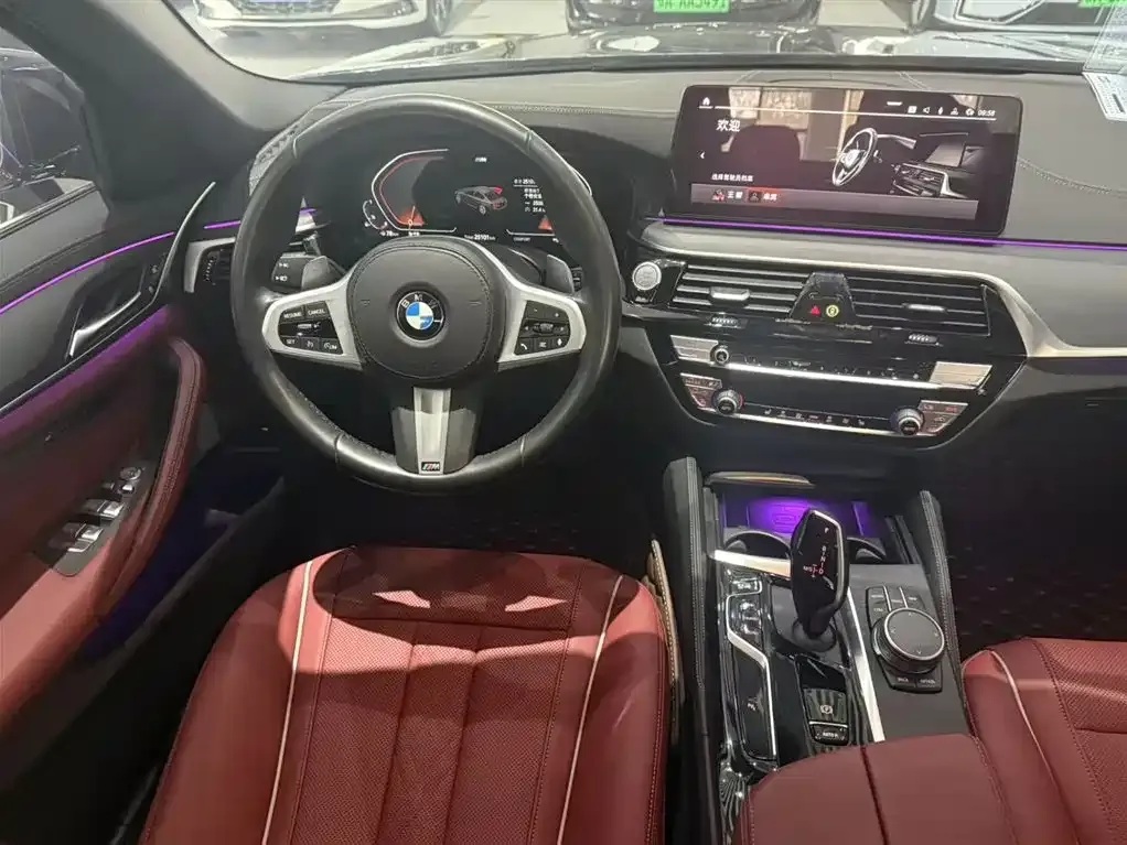 BMW 5 Series 2022 из CN, фото 6