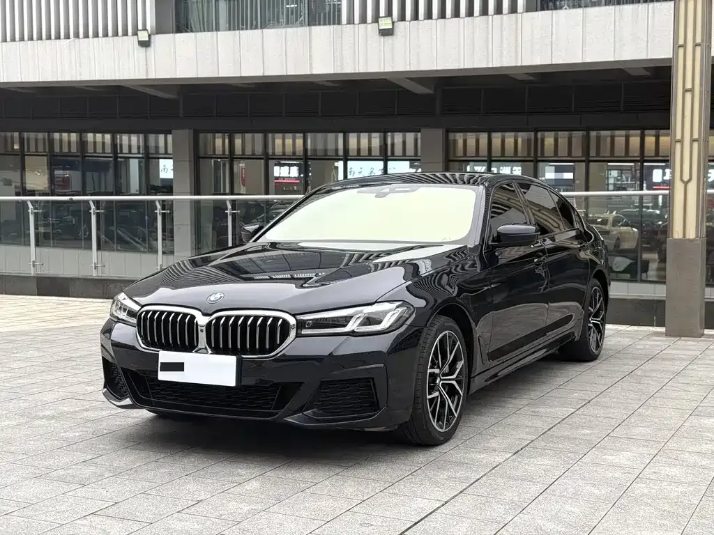 BMW 5 Series 2023 из CN, фото 1